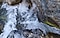L\u2019eau s\u2019engouffre dans une crevasse entre deux rochers dans une rivi\u00E8re.