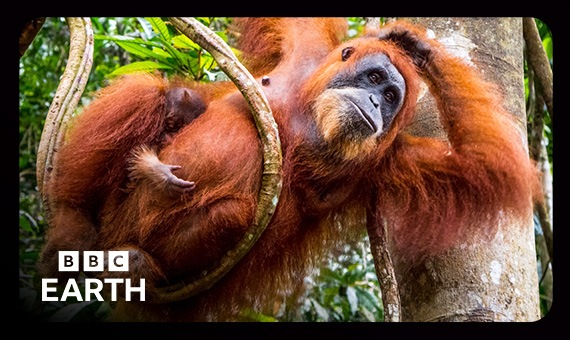 Documentaires - Rakuten