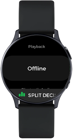 Offline látható a Beállításoknál a Spotify alkalmazásban