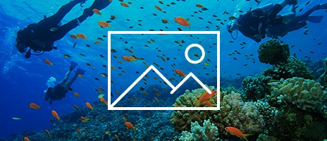 La luminosité a été réduite et une infographie au trait représentant la qualité de l'image télévisée est superposée à un environnement sous-marin qui montre 3 plongeurs nageant au-dessus d'un récif de corail.