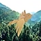 Un pajaro hecho a mano con el carton de eco-empaque de Samsung, esta volando sobre un vasto bosque con el sol alumbrando desde lo alto del cielo.