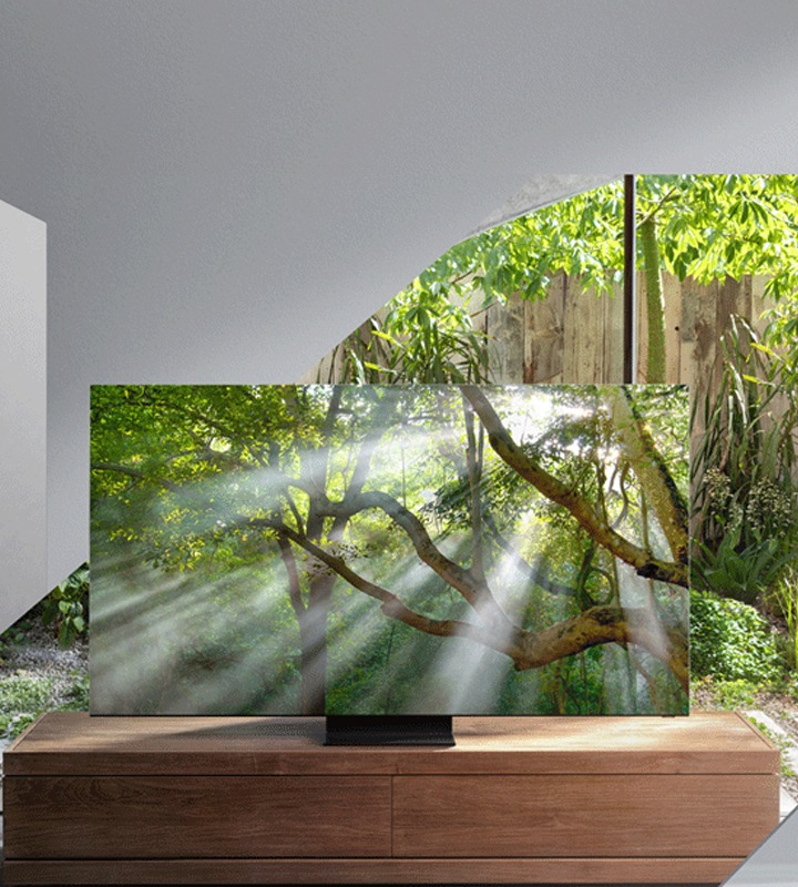 Uma imagem futurista, trazendo a ideia de borda infinita em que a TV se camufla no jardim e uma casa