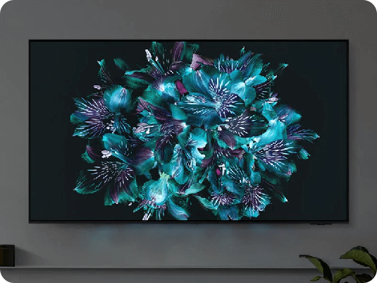 A Samsung OLED 2024 mostrando uma flor detalhada em cores precisas.