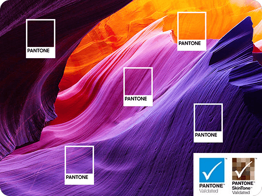 A Samsung OLED 2024 mostrando amostras de cores Pantone em uma cena colorida da natureza. Logotipos Pantone e Pantone SkinTone Validated.
