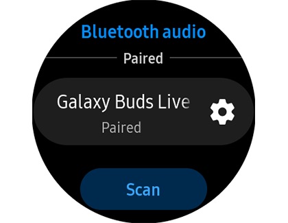 Tap the Settings icon next to the earbuds, and then make sure Call audio and Media audio are both turned on.