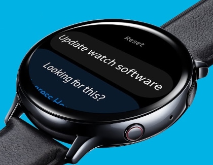 Update watch software without a phone