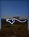 A light painting of a cheetah running across the plains in the dark.