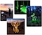 A collage showing the initial setup and light paintings representing an elk and a phoenix.