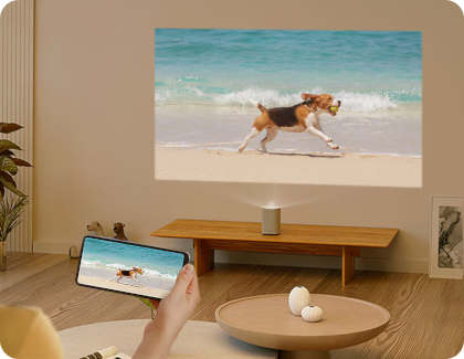Un téléphone projette une vidéo d’un chien avec le projecteur Premiere 5, affichée sur un mur.