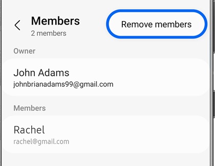 Members screen with More options bubble displaying Delete option