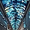 a long promenade sky LED screen in the cruise ship