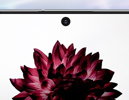 Use a screen protector