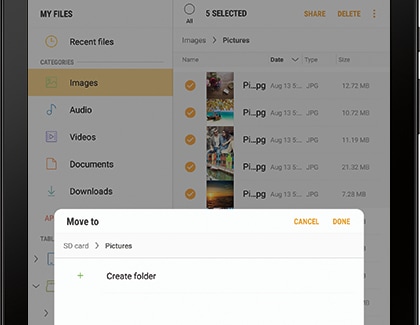 Copy or Move Files