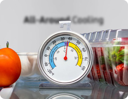 Refrigerator thermometer placed among fresh food items inside a Samsung fridge.