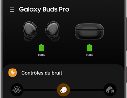 Une fois la connexion établie, vous accèderez à l’écran d’accueil de l’application Galaxy Wearable.