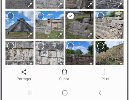 Touchez Partager (au bas de l’écran).
