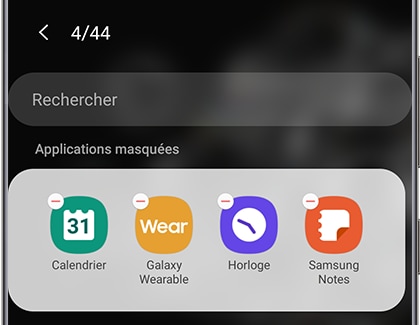 Retirer une application de la liste des applications masquées 6