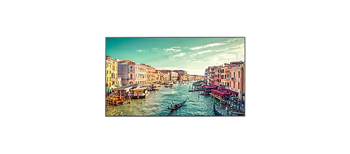 Professional Displays