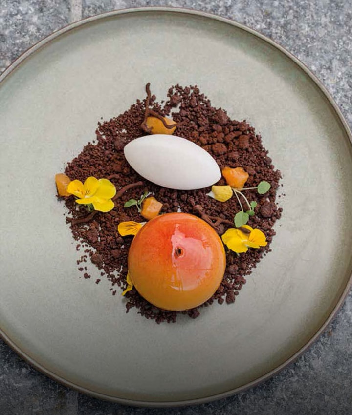 Aprikose | Schoko-Crumble | Tonka-Eis