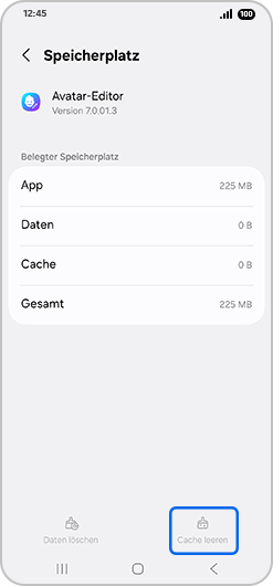 Bildschirm „Speicherplatz“ mit hervorgehobener Option „Cache leeren“.