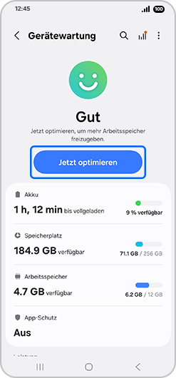 Bildschirm „Gerätewartung“ mit hervorgehobener Option „Jetzt optimieren“.