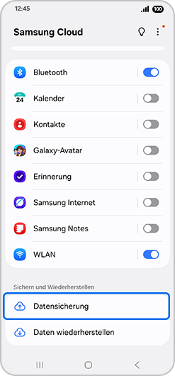 Bildschirm „Samsung Account“ mit hervorgehobener Option „Datensicherung“.