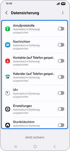 Bildschirm "Datensicherung".