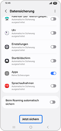 Bildschirm „Datensicherung“ mit hervorgehobener Markierung „Jetzt sichern“.