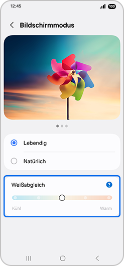 Bildschirm „Bildschirmmodus“ mit hervorgehobener Option „Weißabgleich“.