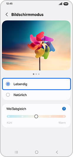 Bildschirm „Bildschirmmodus“ mit hervorgehobener Markierung „Lebendig“.