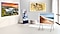 Eine Vielzahl von Samsung Fernsehern wie The Frame, The Sero, The Serif und QLED TV sind zu sehen.