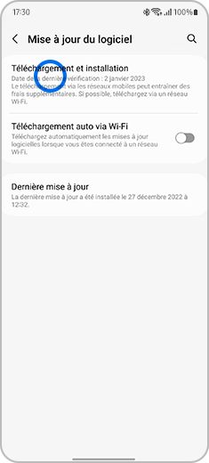 Aperçu du menu Mise à jour du logiciel d'un smartphone Samsung