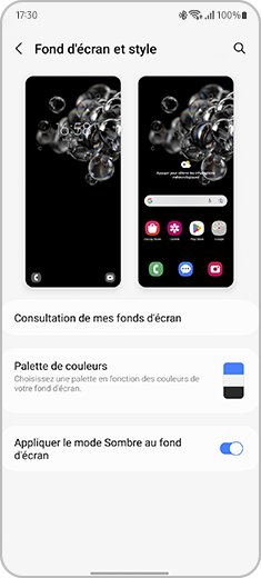 Aperçu du menu Fond d'écran et style d'un smartphone Samsung