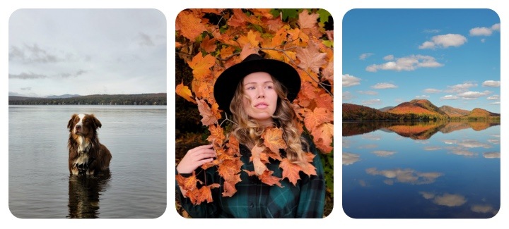 Collage de tres elementos visuales. Primero, un perro marrón y blanco parado en el agua en un día soleado. Segundo, un retrato de una mujer joven con un sombrero negro de ala ancha entre las hojas rojas de otoño. Tercero, el paisaje de una colorida colina arbolada que se refleja en las aguas prístinas de un lago en Quebec.