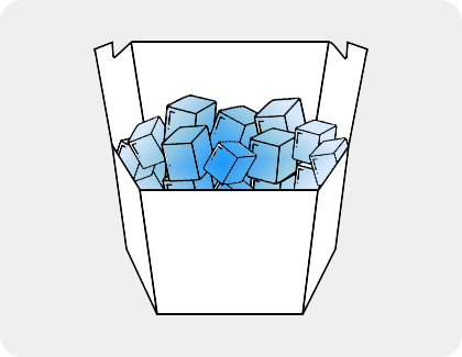 inspect the ice bucket and ice cubes