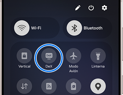 Panel de notificaciones con el icono de Dex seleccionado
