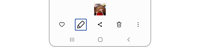 Editor de Galería