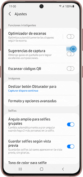 Sugerencias de captura de la cámara