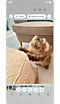 Select area to create GIF