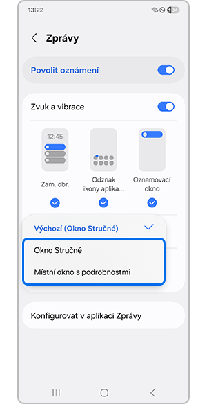 Klepnutím na Okno Stručné nebo Místní okno s podrobnostmi