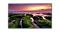Sasmung 4K HD Displays