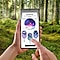 Frauenhände halten ein Galaxy S24, Wald im Hintergund, auf dem Screen ein Bildausschnitt aus der AR-App Trails of Wonder, auf dem man einen Punktestand sieht.