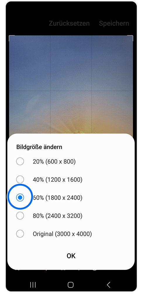Bildgröße des Bildes wird geändert