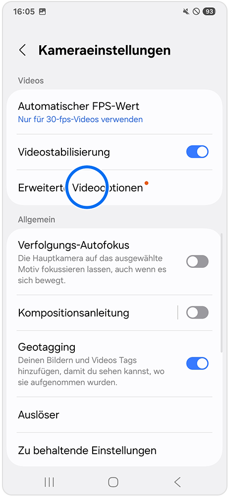 Screenshot von der Option Erweiterte Videoeinstellungen