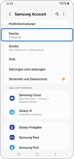 Die Option Familie ist in Bereich des Samsung Accounts markiert.