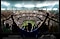 Ein Mann sieht sich ein Sportspiel auf dem Samsung Supersize TV an und jubelt, als wäre er Teil der Zuschauer im Stadion.
