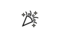 Step 4