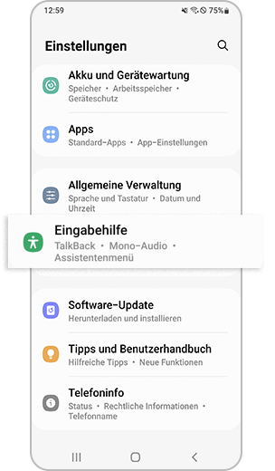 Schritt 1. Geräteeinstellungen eingeben und auf „Eingabehilfe“ klicken.