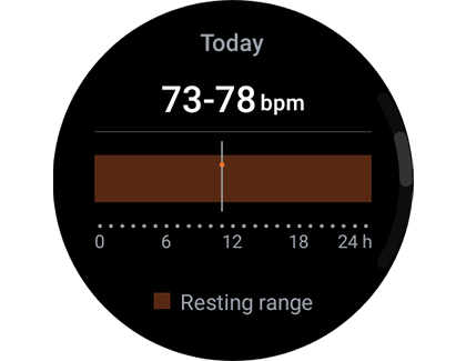 View of Samsung Health app Heart rate information.