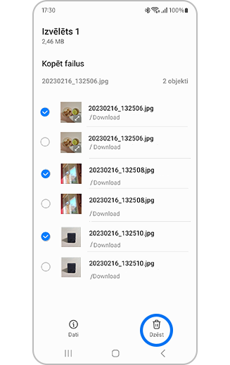 Dublētu failu skats ar failiem un izceltu pogu "Dzēst visu".